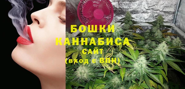 амф Горнозаводск