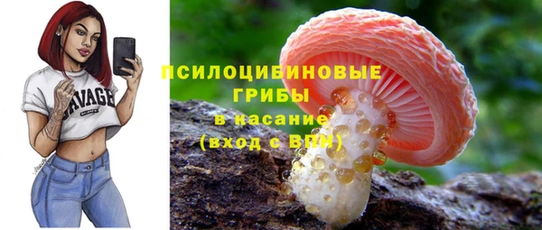 амф Горнозаводск