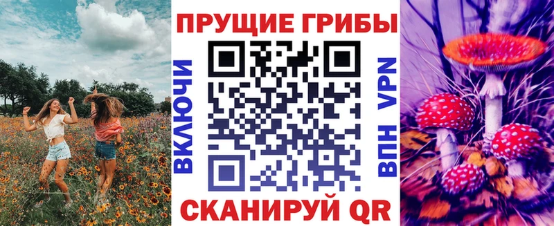 блэк спрут ссылки Дзержинский Галлюциногенные грибы прущие грибы